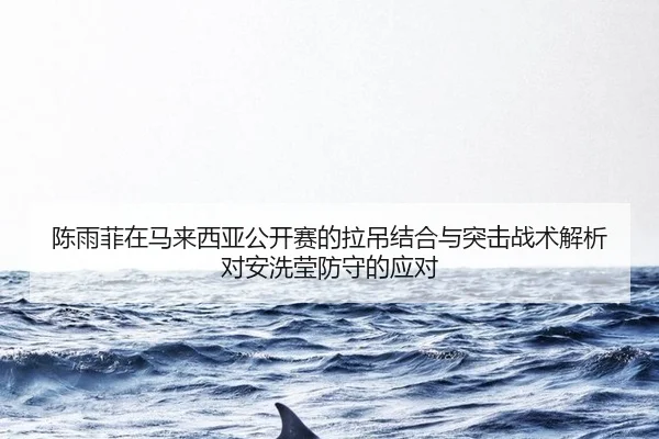 陈雨菲在马来西亚公开赛的拉吊结合与突击战术解析对安洗莹防守的应对