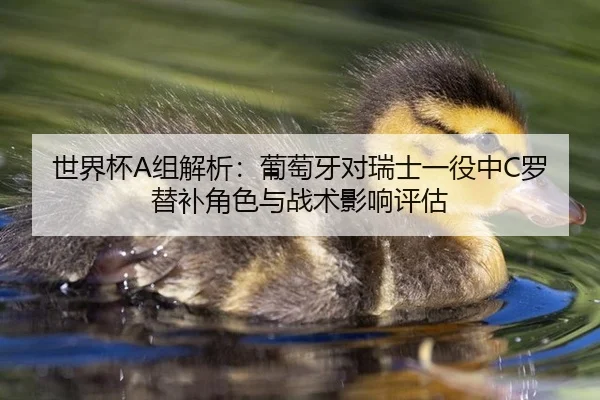 世界杯A组解析：葡萄牙对瑞士一役中C罗替补角色与战术影响评估