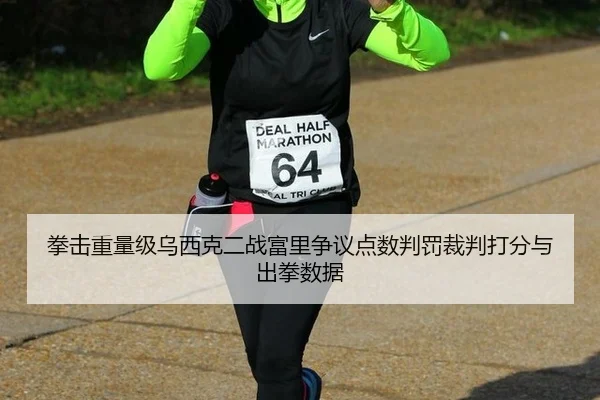 拳击重量级乌西克二战富里争议点数判罚裁判打分与出拳数据